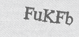 CAPTCHA code