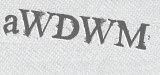 CAPTCHA code
