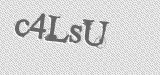 CAPTCHA code
