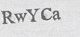CAPTCHA code