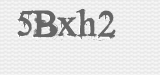 CAPTCHA code