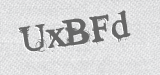 CAPTCHA code