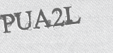 CAPTCHA code