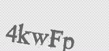 CAPTCHA code