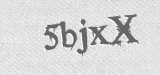 CAPTCHA code