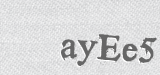 CAPTCHA code