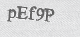 CAPTCHA code
