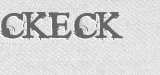 CAPTCHA code
