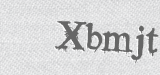 CAPTCHA code