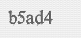 CAPTCHA code