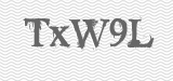 CAPTCHA code
