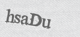 CAPTCHA code