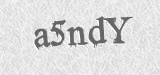 CAPTCHA code