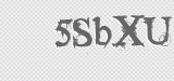 CAPTCHA code