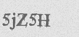 CAPTCHA code