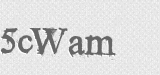 CAPTCHA code