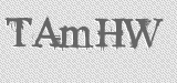 CAPTCHA code