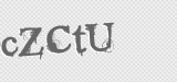 CAPTCHA code