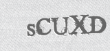 CAPTCHA code