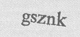 CAPTCHA code