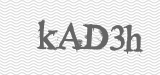 CAPTCHA code