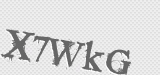 CAPTCHA code