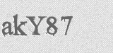 CAPTCHA code
