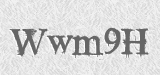 CAPTCHA code