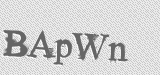 CAPTCHA code