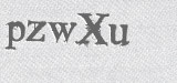 CAPTCHA code