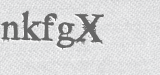 CAPTCHA code