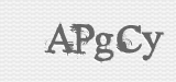 CAPTCHA code