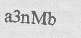CAPTCHA code