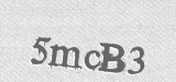 CAPTCHA code