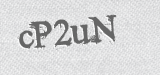 CAPTCHA code