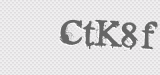 CAPTCHA code