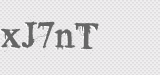CAPTCHA code