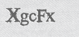CAPTCHA code