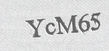 CAPTCHA code