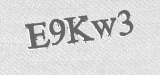CAPTCHA code