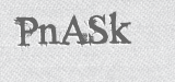CAPTCHA code
