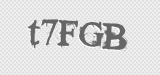 CAPTCHA code