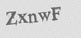 CAPTCHA code