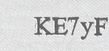 CAPTCHA code