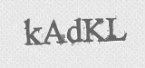 CAPTCHA code