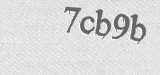 CAPTCHA code