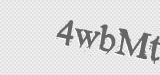 CAPTCHA code