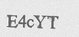 CAPTCHA code