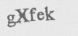 CAPTCHA code