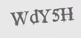 CAPTCHA code